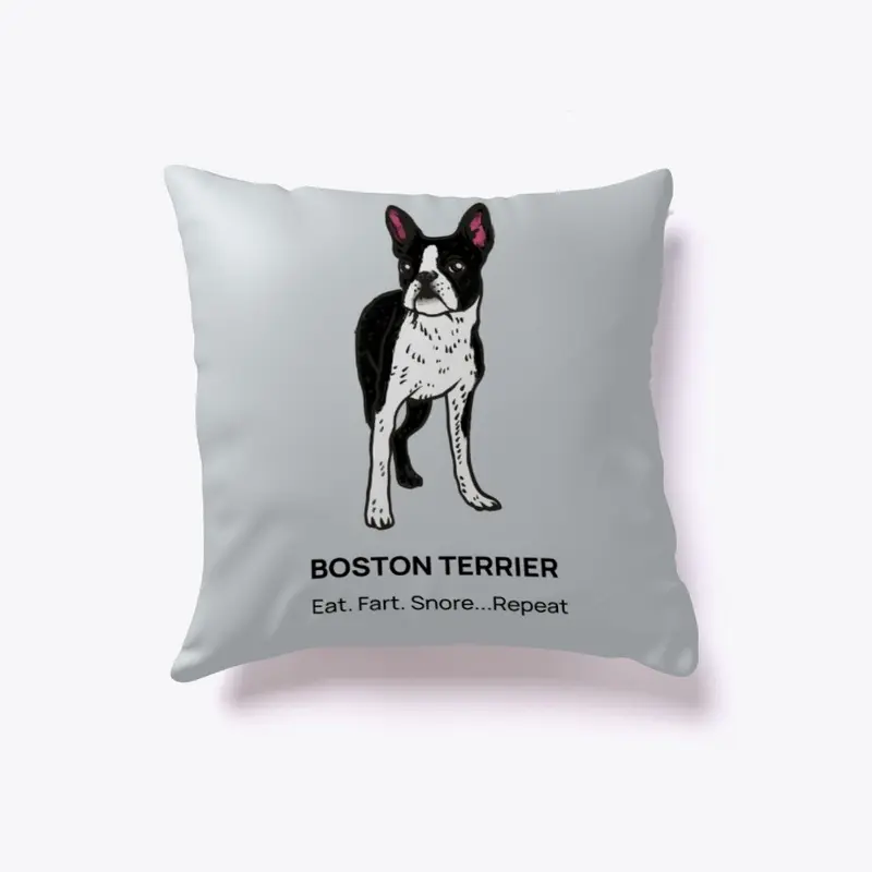 DOG BOSTON TERRIER