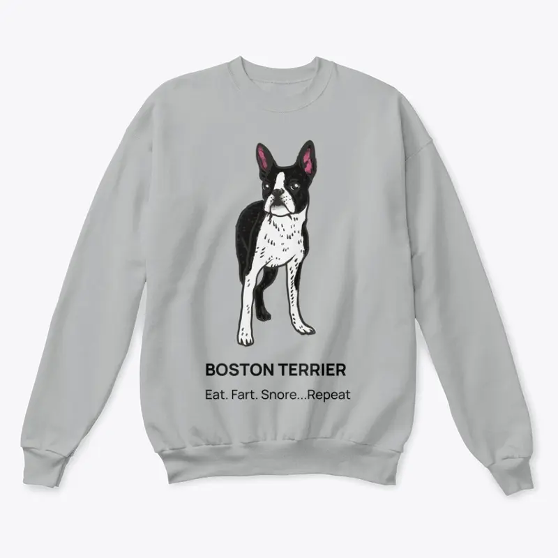 DOG BOSTON TERRIER