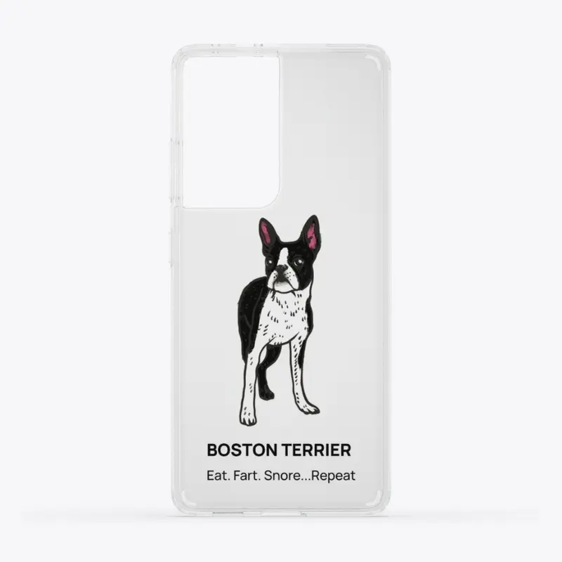 DOG BOSTON TERRIER