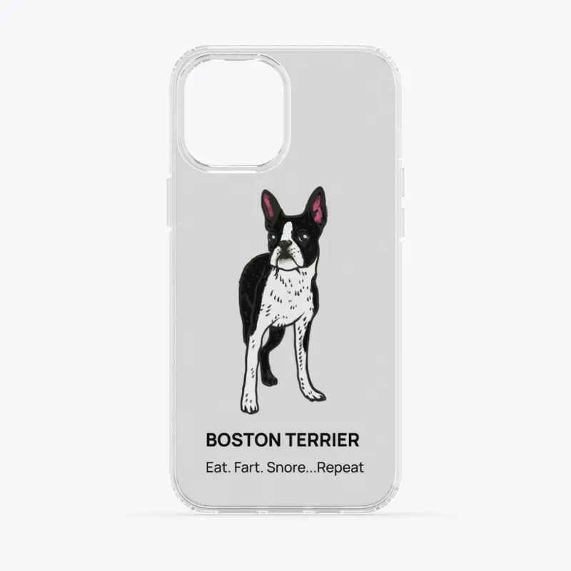 DOG BOSTON TERRIER